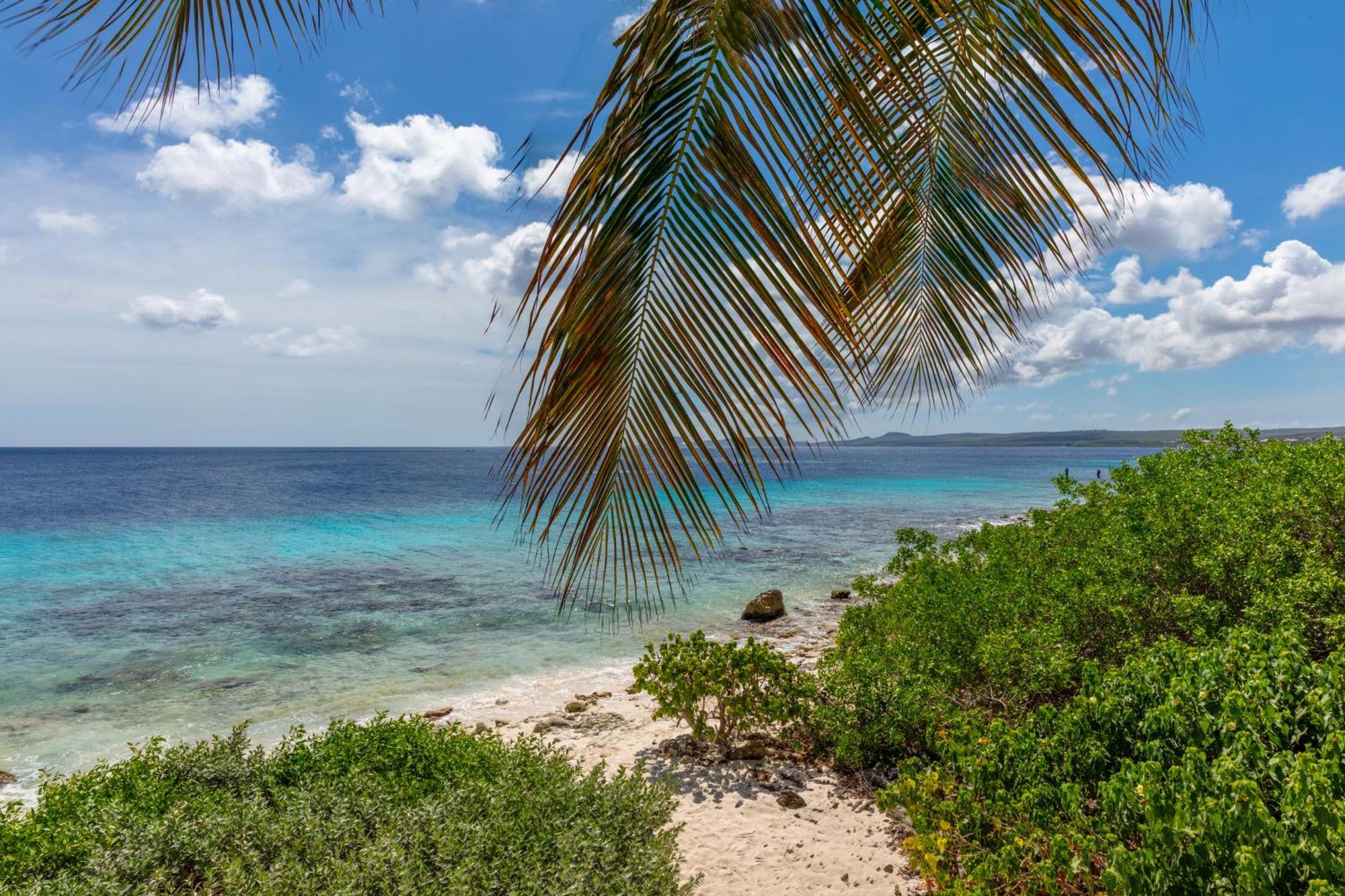 One Ocean Boutique Apartments & Suites Bonaire Kralendijk Eksteriør bilde