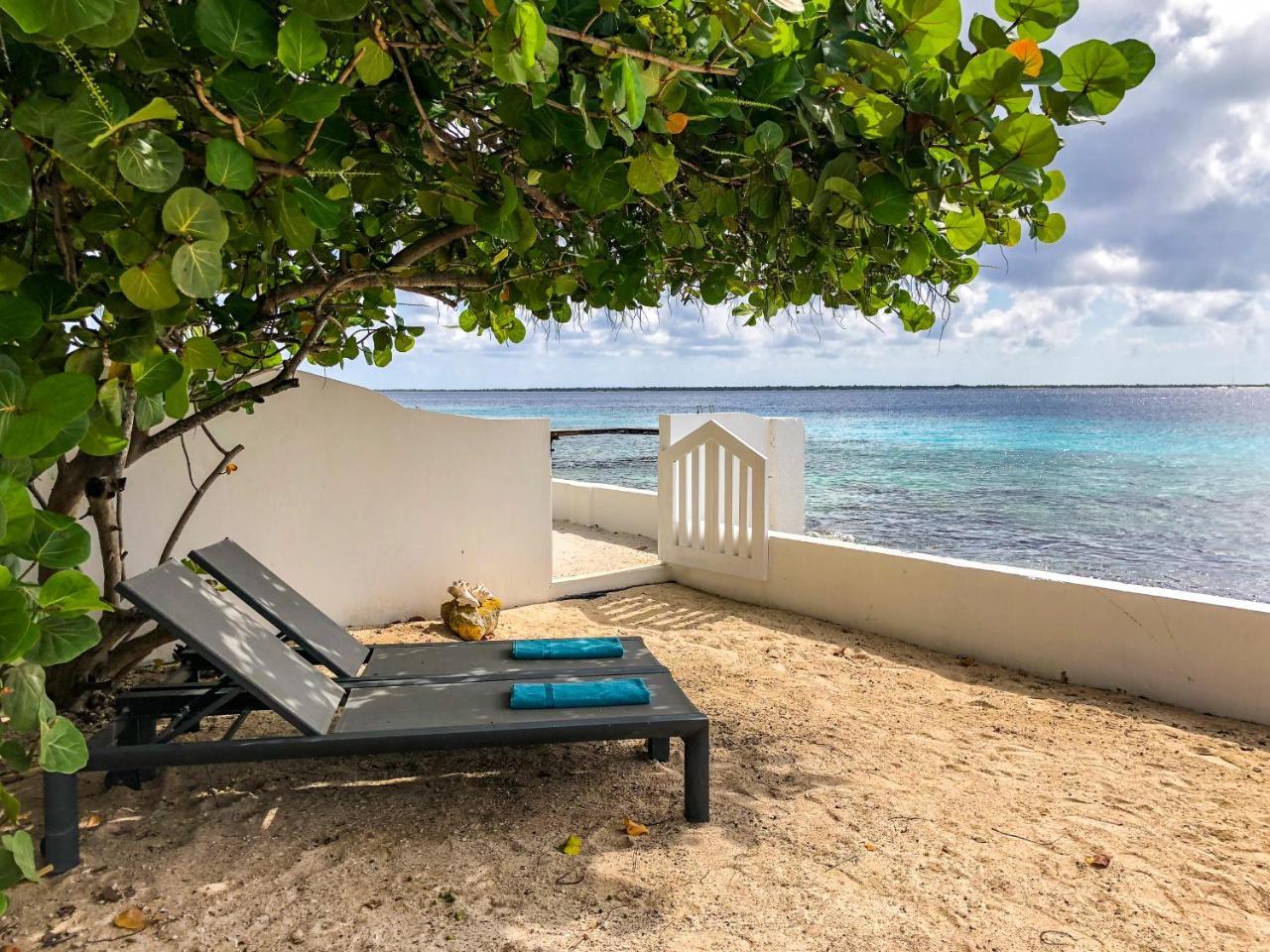 One Ocean Boutique Apartments & Suites Bonaire Kralendijk Eksteriør bilde